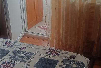 Apartament cu 2 camere nedecomandat în Central - 4