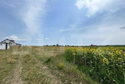 Parcele de 770 mp , drum privat 7m , zona reziden?iala Moa - 2