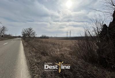 Teren Construcții intravilan de 1300 mp, în Căciulești - 2