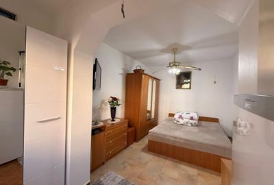 Apartament cu 2 camere semidecomandat, mobilat în Spitalul Județean - 6