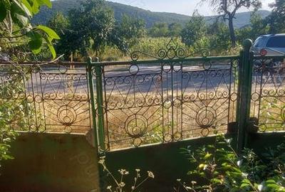 Casă cu 4 camere în Slava Rusă - 8