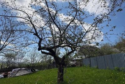 Casă cu 3 camere cu Teren 476 Mp în Plai - 5