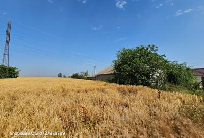 Casa De Vanzare In Comuna Corbu 1500 Mp Teren Put Apa Si Vulcanizare Comision 0 Casa De Vanzare In Comuna Corbu 1500 Mp Teren Put Apa Si Vulcanizare Comision 0 - 25