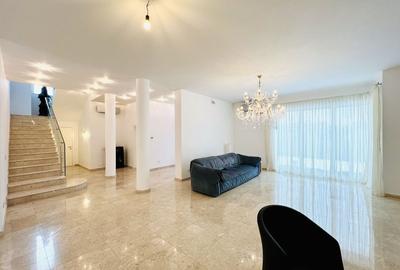 Proprietate deosebita suprafete generoase 580 mp teren 2076 mp - 4