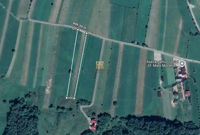 Teren 5886 mp In Bucovina - Bucsoaia! De Vanzare! 0727817187 - 13