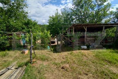 Casa renovata Varvoru de Sus, 30 mpu, 1000 mp curte. - 6