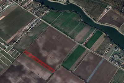 Vanzare teren Moara Vlasiei - 3