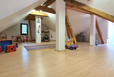 Vila Predeal New 2025 - 9