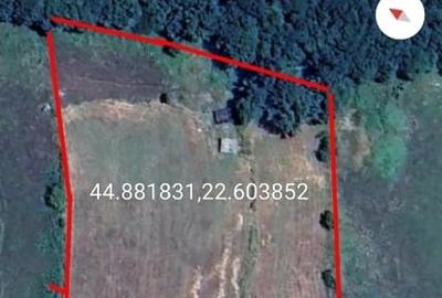 Teren extravilan  6091 m²  zona Mălărișca  ( între Cireșu și Balta ) Jud. Mh - 1