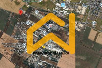 Teren Construcții intravilan de 500 mp, în Măgurele - 3