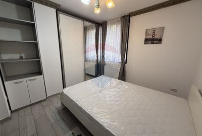 Apartament cu 3 camere decomandat, mobilat în Teiul Doamnei - 3