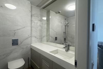 Inchiriere apartament de 2 camere Herastrau - 9