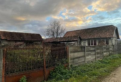 Casă cu 3 camere cu Teren 2700 Mp în Central - 3