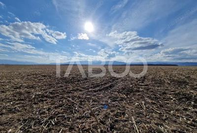 Teren de 5950 mp, în Central - 1