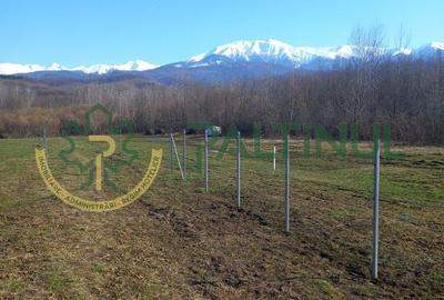 Spațiu comercial, în Chirpăr - 6