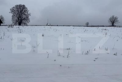 Teren intravilan de vanzare, 2000 mp, in Co?na, Podul Co? - 4