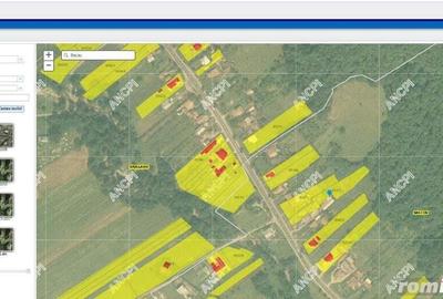 Casa si teren in Prislopu Mic, com. Bascov, jud. Arges - ID: 16503 Casa si teren in Prislopu Mic, com. Bascov, jud. Arges - ID: 16503 - 5