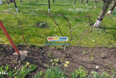 Casă cu 3 camere cu Teren 800 Mp în Mihai Eminescu - 12