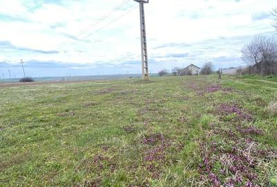 Teren de 1400 mp, în Ghercești - 3