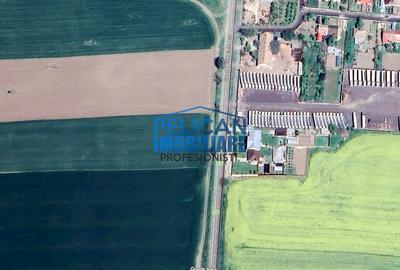 Teren Construcții intravilan de 4000 mp, în Mihail Kogălniceanu - 12