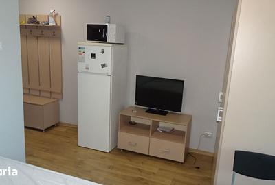 Garsonieră în Dacia - 7