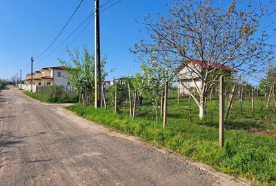 Teren de 2607 mp, în Bârnova - 7