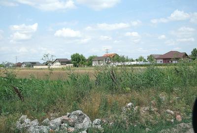 Teren Construcții intravilan de 20000 mp, în Tărtășești - 5