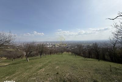 Teren de 10000 mp, în Central - 5