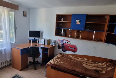 Casa cu etaj si 955mp teren zona Drumul Tatarilor - 5