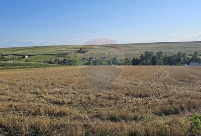 Teren Construcții intravilan de 7500 mp, în Moara Carp - 16