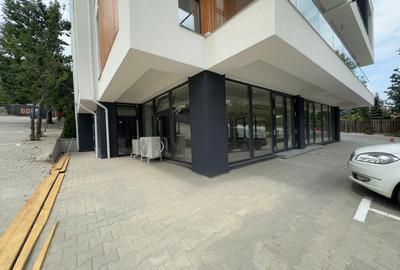 Spatiu comercial 100-173mp, Rediu, Don Homes, inchiriere/ vanzare - 2