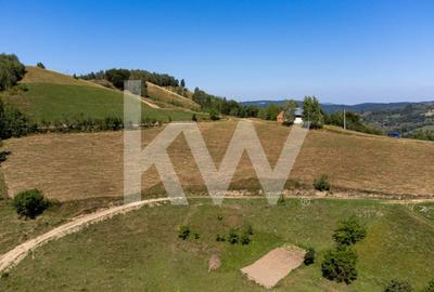 Teren 16469 mp extravilan arabil  Poiana Marului zona Vulcanita - 2