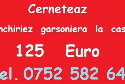 Garsonieră semidecomandată în Cerneteaz - 1