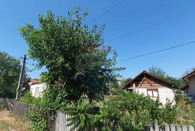Casa Batraneasca Urechesti - 5