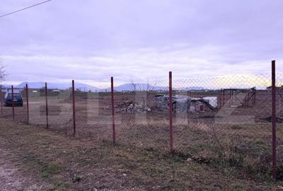 ????? Oportunitate Unica! Teren Ideal pentru Casa cu Pri - 6