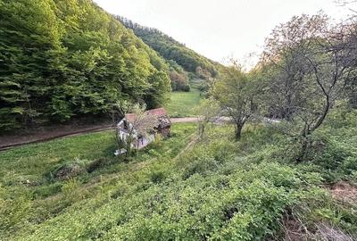 Casă în Almaș-Săliște - 4