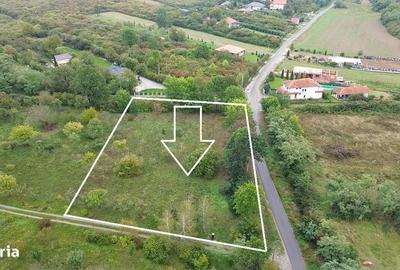 Spațiu comercial, în Viile Satu Mare - 9