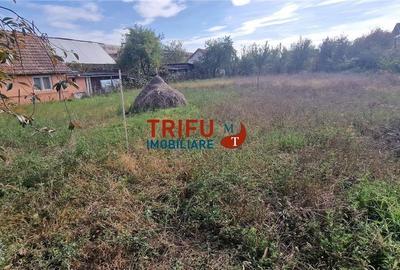 Casă de vânzare zona Cetate Schit 740 mp teren - 11