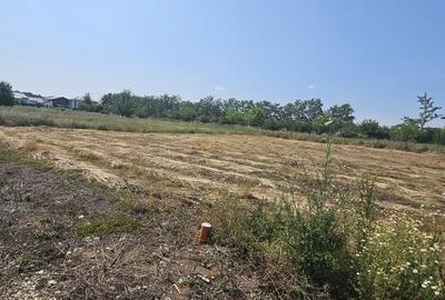 3 loturi cu suprafete de 600 mp si  deschidere de 20 in Eden Forest - 2