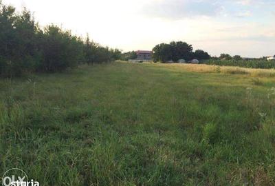 Teren de 3277 mp, în Snagov - 1