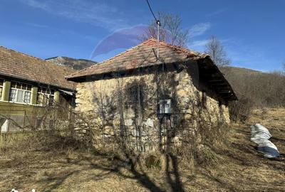 Casă cu 2 camere cu Teren 1884 Mp în Livezile - 1