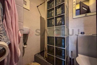 Intre Lacuri, Etaj Intermediar, Compartimentare eficienta - 8