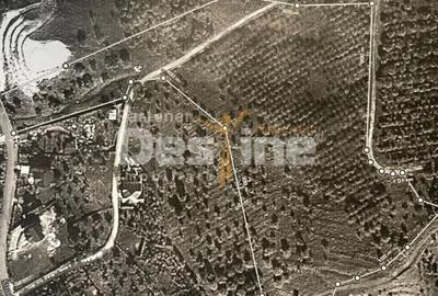 Teren în Autogară - 6