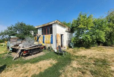 Inchiriez in Sanandrei teren ?i hala - 6