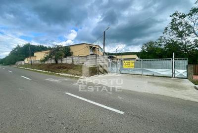 Spatii productie si depozitare, zona Sebis - Prunisor-Carand - 23