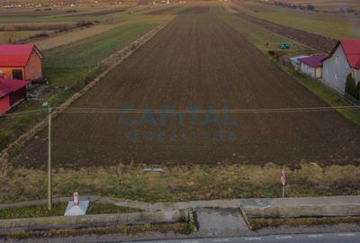 Comision 0%! Teren 17 000 mp, front 45 ml la drum national, utilitaiti in fata - 3