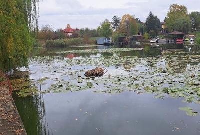 O oportunitate excepțională pe malul Lacului Snagov - 5