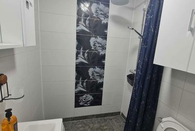 Apartament cu 2 camere semidecomandat în Sârbi - 2