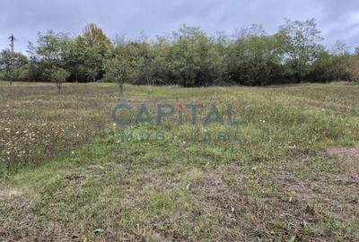 Teren extravilan 8 479 mp, Apahida - 2