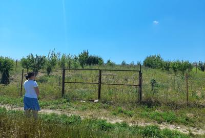 Tren in zona Copou  ,  Numarul de tel. nu este corect scrieti mesaj. - 1